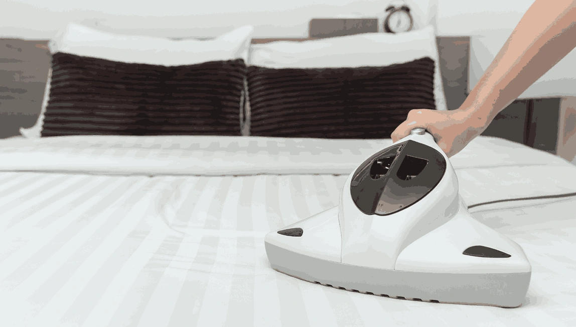 Professional Mattress Cleaning Dromana
